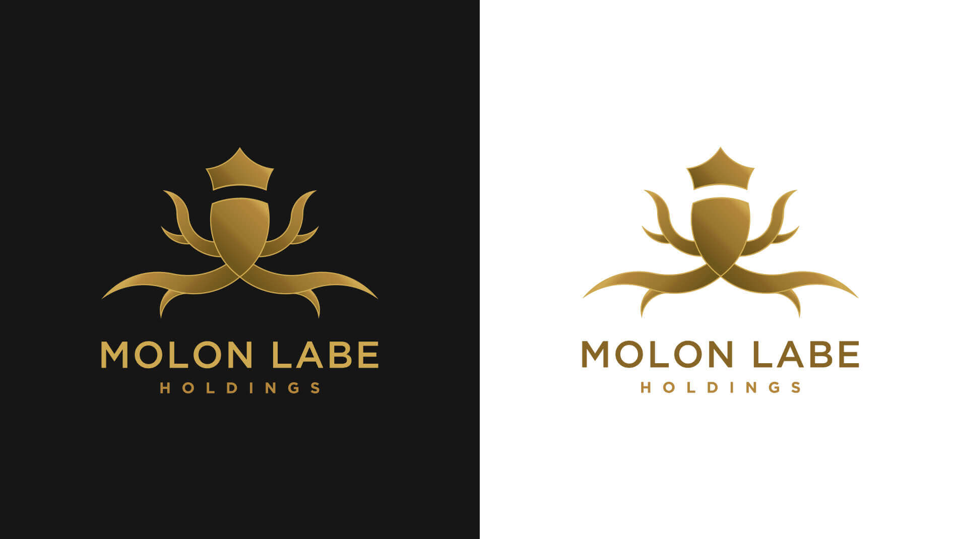 Molon Labe Holdings